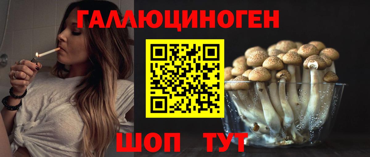 Канск  Галлюциногенные грибы Psilocybine cubensis  купить  цена  Вход с VPN 